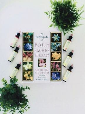 Fotografia do livro, que em tradução literal do inglês, se chama A Enciclopédia da Terapia do Floral de Bach, 3 florais do lado direiro, 3 florais do lado esquerdo e dois vasos com folhagens nas diagonais inferior esquerda e superior direita